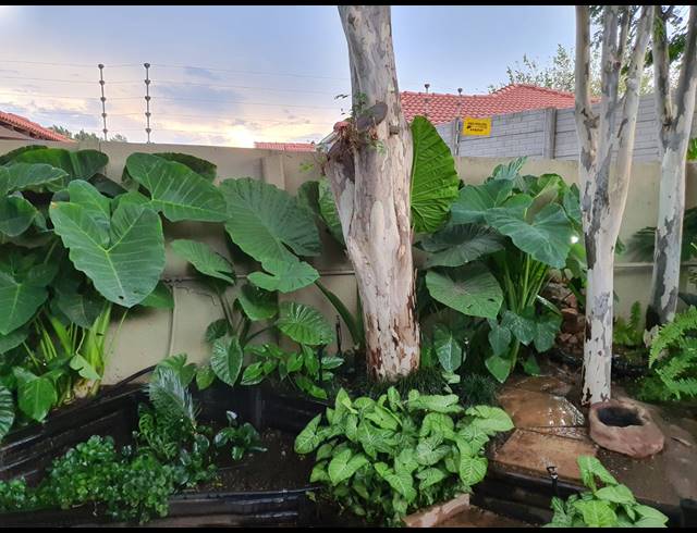 3 BEDROOM FREEHOLD FOR SALE IN WATERVAL EAST